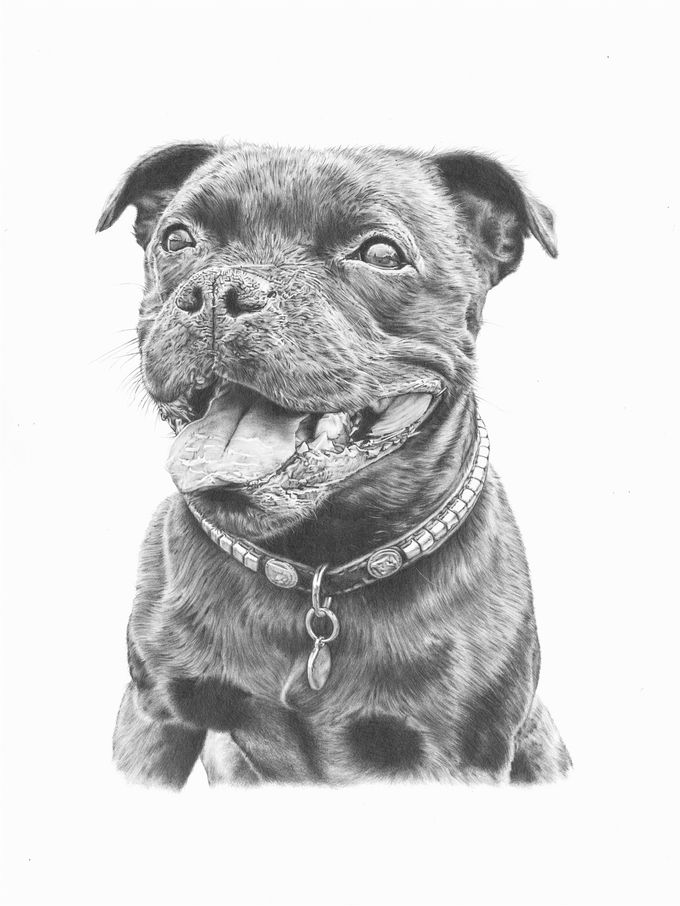 Bruce, much loved by Dez, 12 x 16