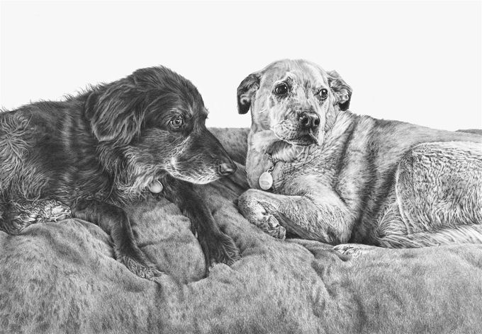 Harry & Jack, sadly missed but cleverly brought together again from two seperate photographs (12 x 16